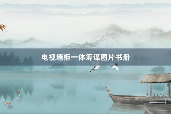 电视墙柜一体筹谋图片书册